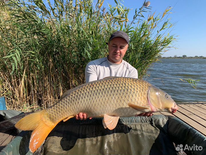 Карповая рыбалка с инструктором