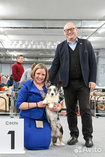 Услуги хендлера в Москве (зао)