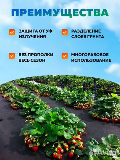 Спанбонд Мегарост 3,2х10 чёрный