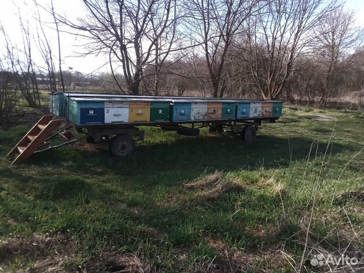 Ульи на 4 семьи