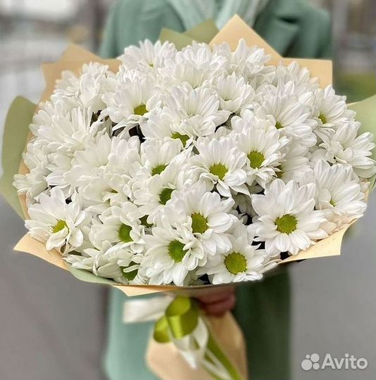 Хризантема. Букеты Цветы доставка