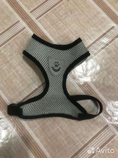 Аксессуары для маленьких собак