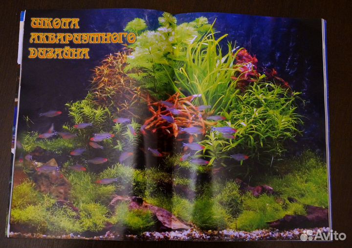 Журнал Aquarium magazine 2004 года