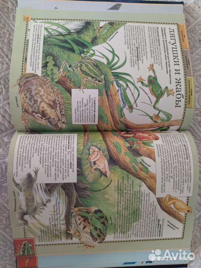 Энциклопедия