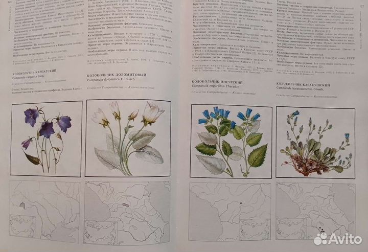 Красная книга