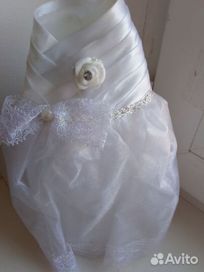 Костюмы на бутылку