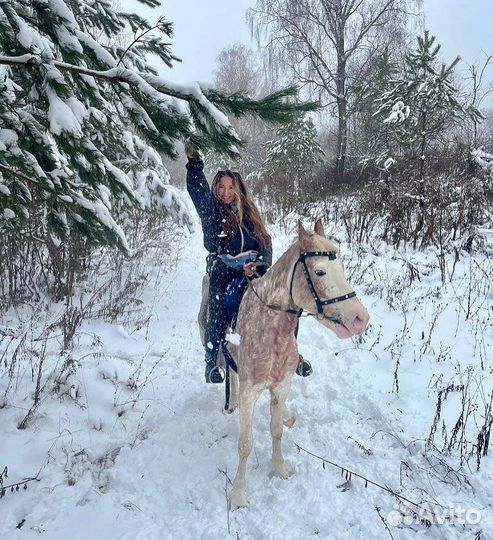 Конные прогулки