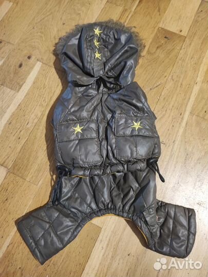 Одежда и обувь для собак