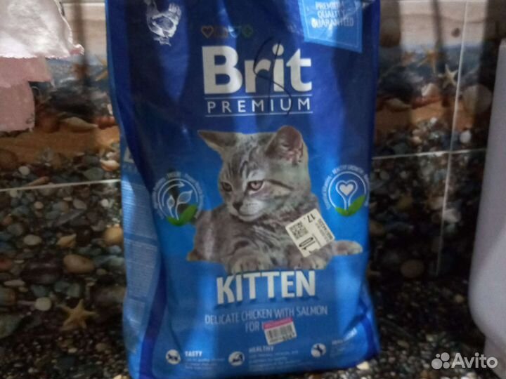 Бенгальская