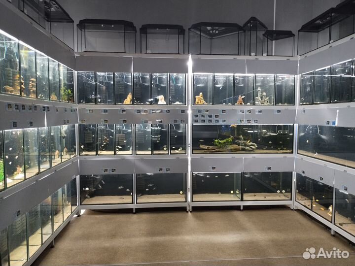 Наполнитель для фильтра - carbomax Plus 1л