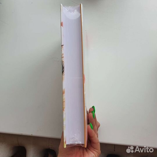 Благословение небожителей 2 том