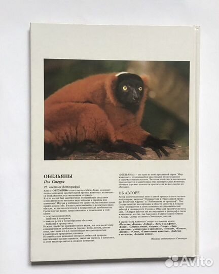 Обезьяны. Пол Стерри