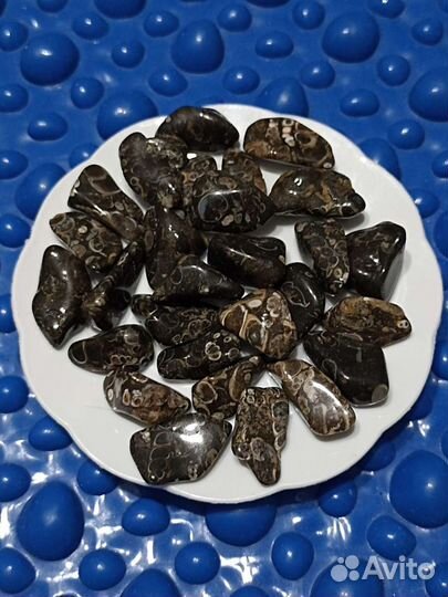 Агат черепаховый