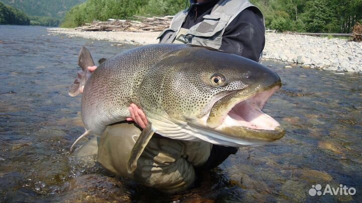 Рыбалка и отдых