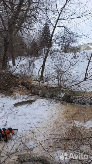 Спил деревьев и кустарников, покос травы