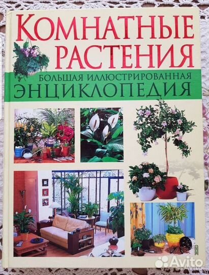 Энциклопедия комнатных растений