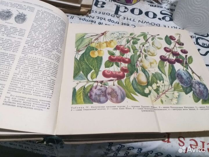 Словарь - справочник садовода 1957г