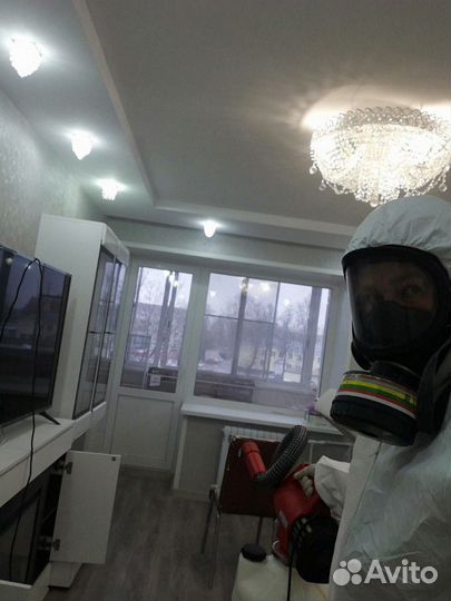 Уничтожение клопов тараканов блох