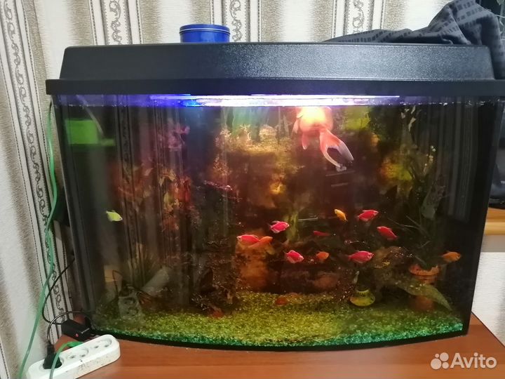 Продам аквариум
