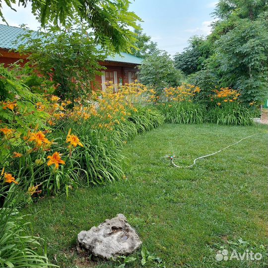 Дача Готовый бизнес Дом для сдачи в аренду