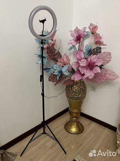 Кольцевая лампа