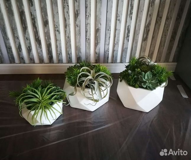 Кашпо, композиции с суккулентами арт 187, от