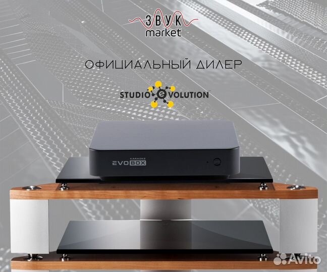 Караоке для дома Evolution Evobox Black