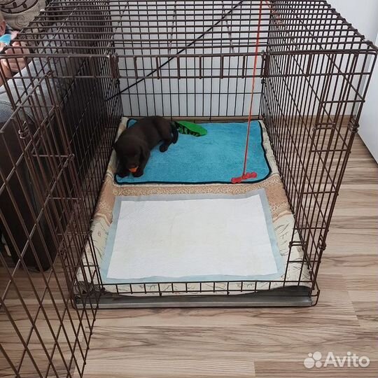 Клетка для собак