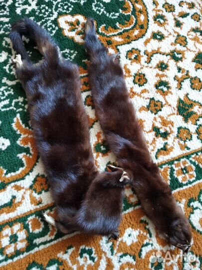 Шкурка животного