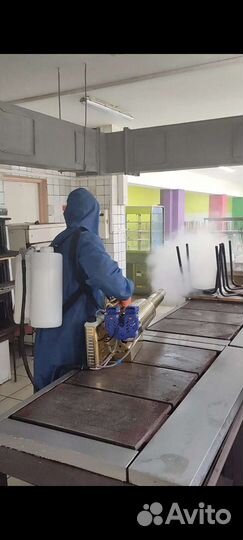 Дезинсекция насекомых,возможна обработка сада