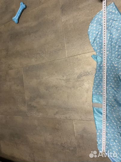 Одежда для собак