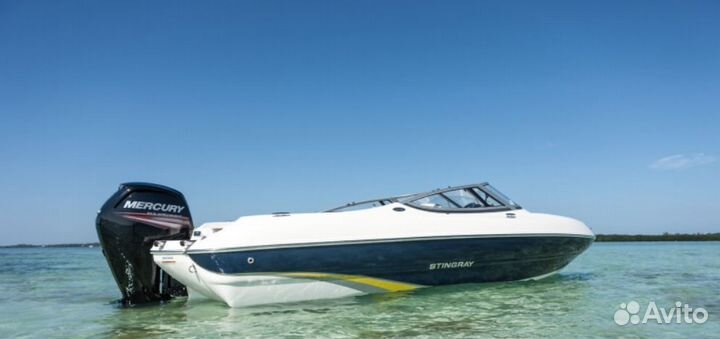 Лодочный мотор Mercury (Меркури) ME F 100 exlpt EF