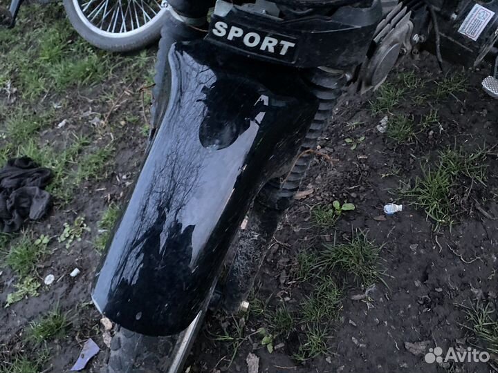 Альфа спорт