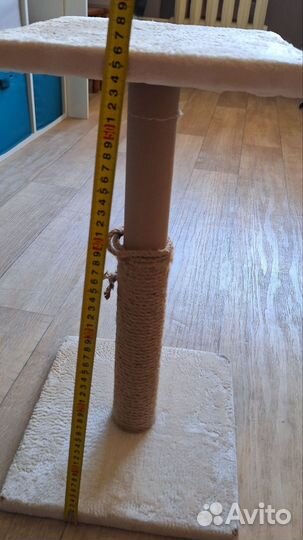 Когтеточка