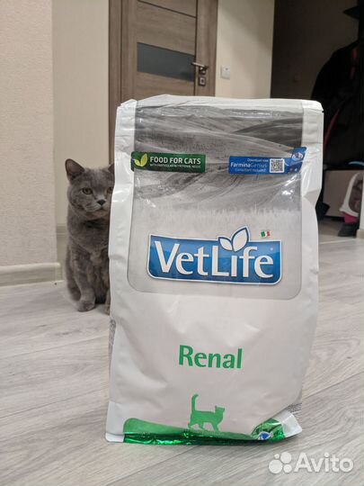Корм для кошек Vet Life Renal 2 кг