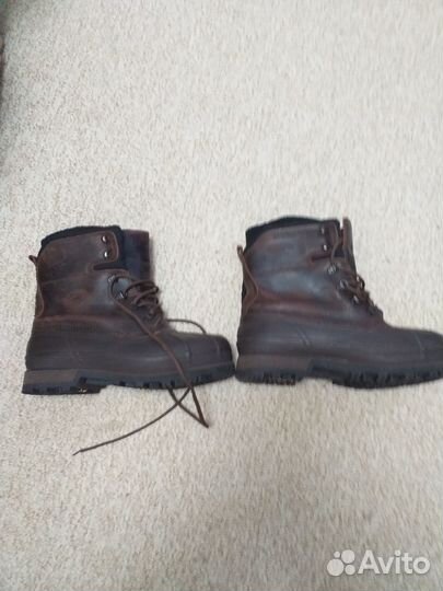 Охота и рыбалка