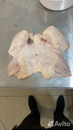 Филе куриное, Шаурма, крыло, оптом Халяль. гост