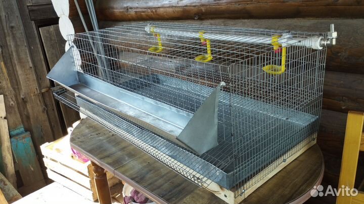 Клетки для перепелов