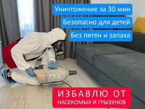 Уничтожение клопов, травить тараканов. Дезинфекция