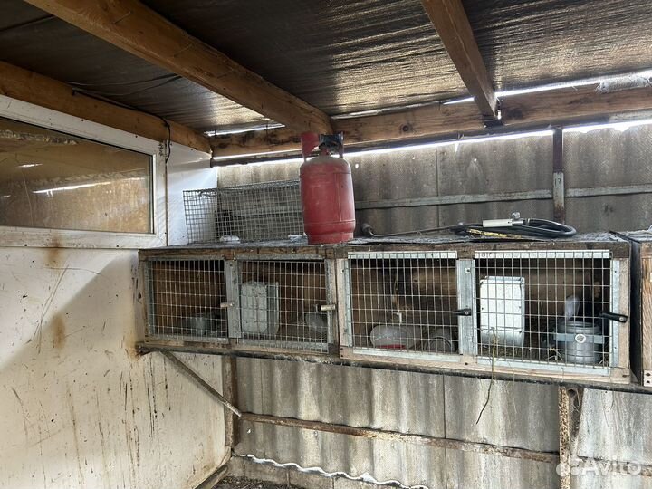 Металические клетки для кроликов и нутрий