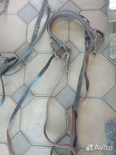 Амуниция для лошади