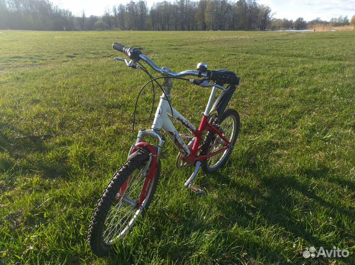 Велосипед детский Alpin Bike 250SL