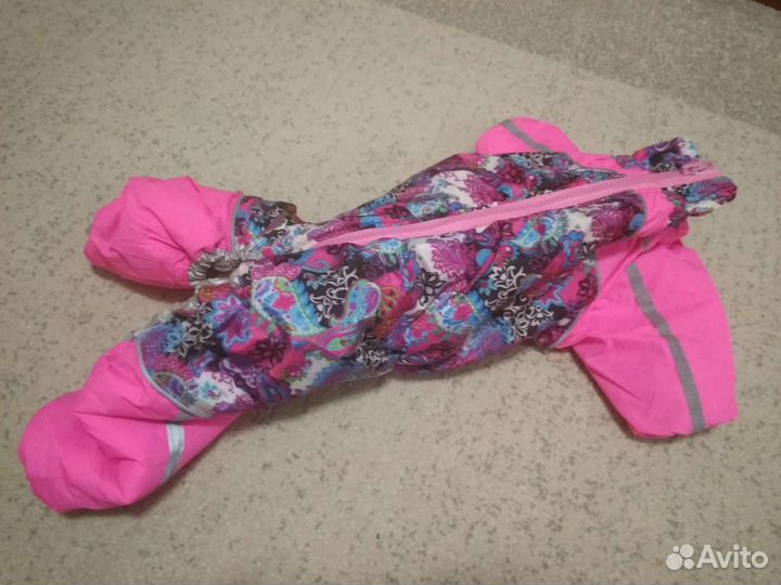 Одежда для собак