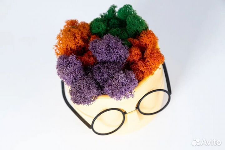 Кашпо мох стабилизированный горшок