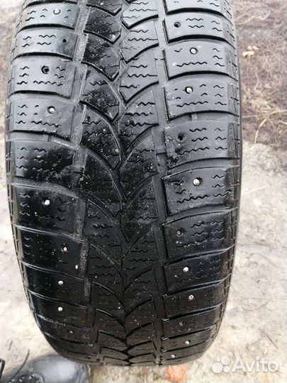Tigar Winter 205/55 R16