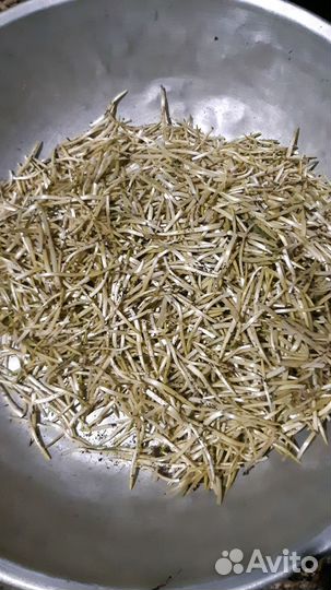 Черемша свежая