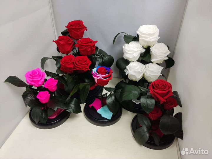 Цветы оптом / Роза в колбе