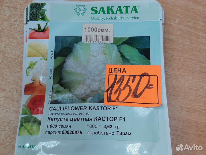 Семена капусты