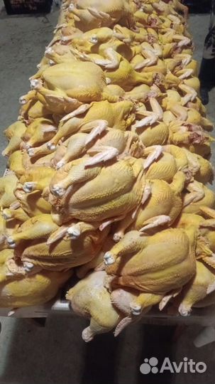 Куры бройлеры тушки мясо
