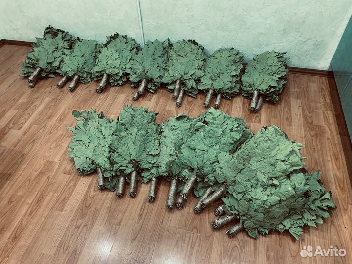 Дубовые Краснодарские веники. Сбор Июль 2023